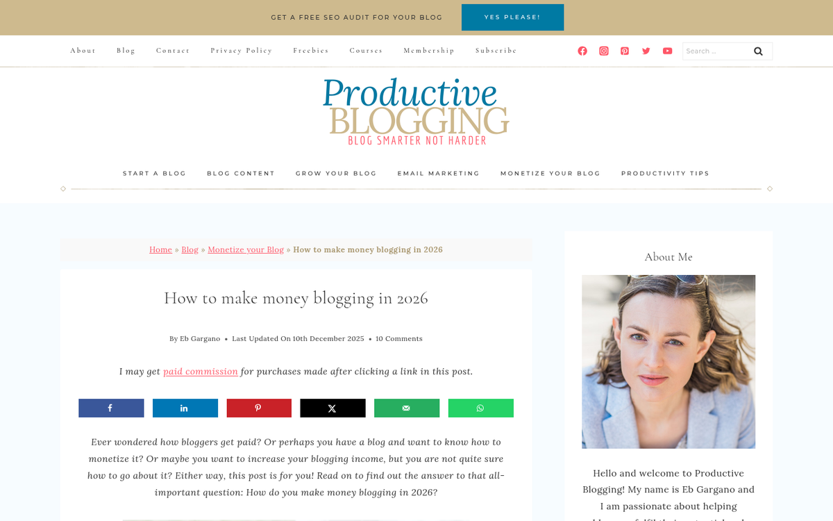 Blog monetization strategies displayed on screen
