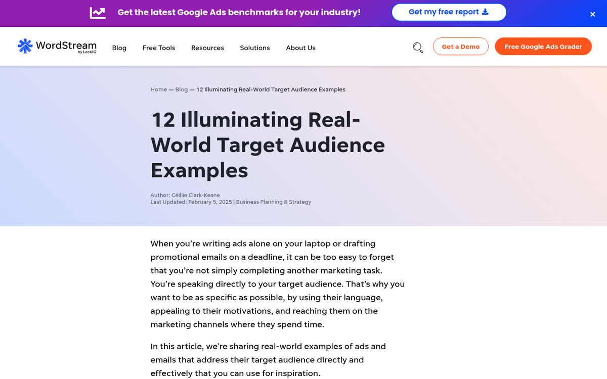 Blog headline targeting specific audience demographics