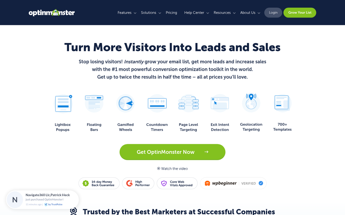 OptinMonster plugin website homepage screenshot