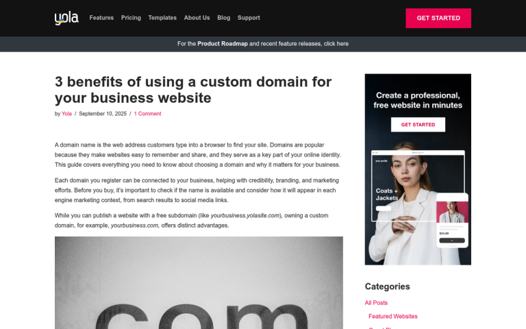 Do You Need a Custom Domain to Be Successful with a Blog?