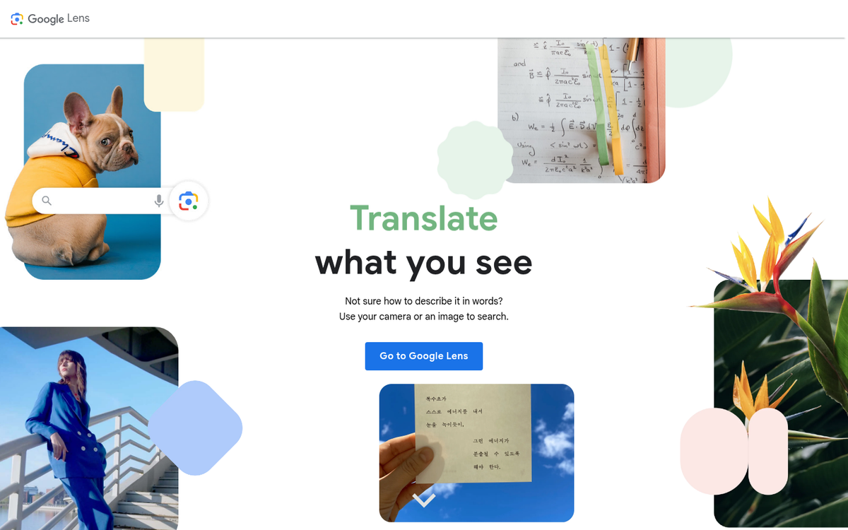 Google visual search interface screenshot