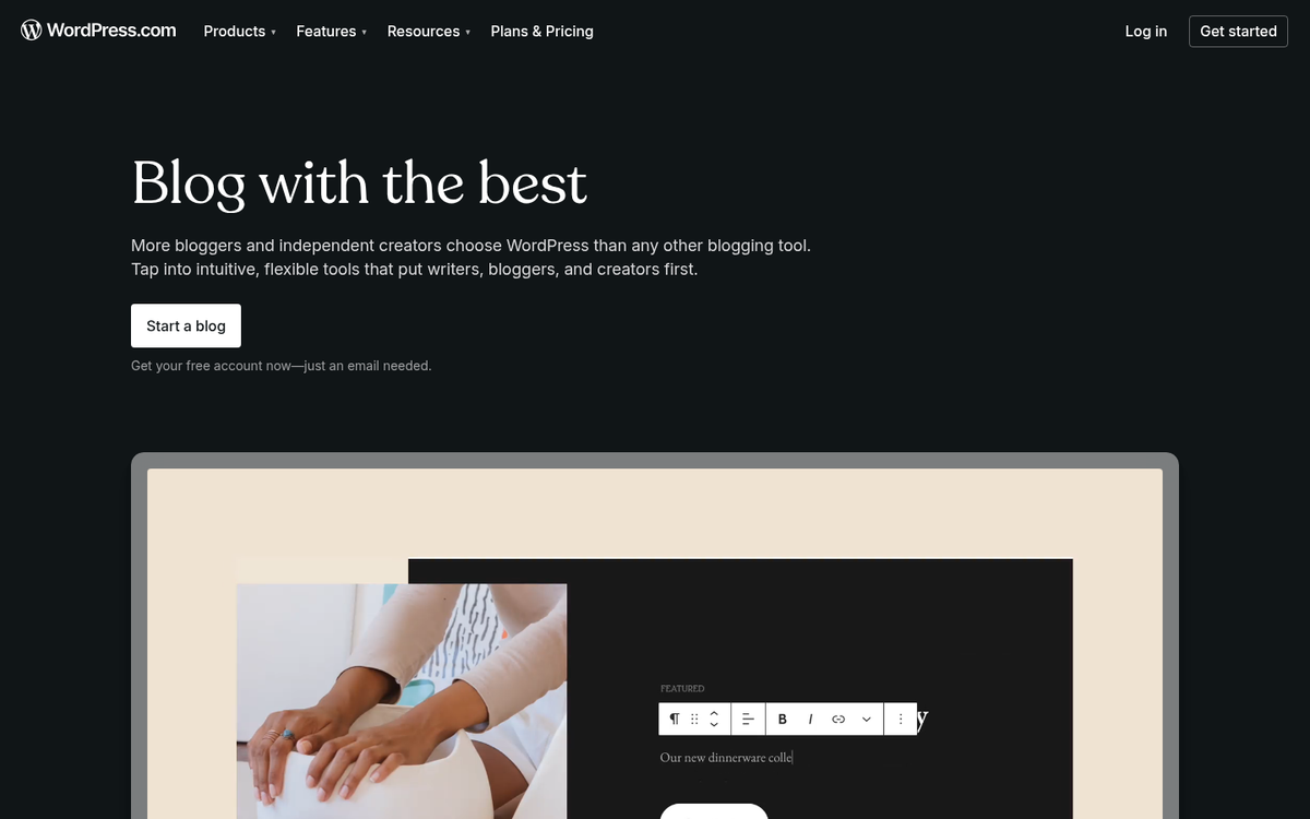WordPress website homepage displayed on screen