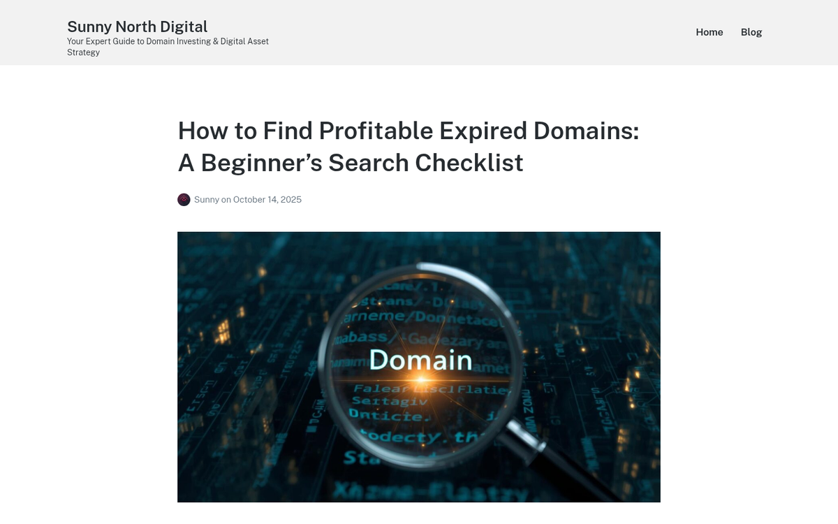 Domain audit features checklist on screen