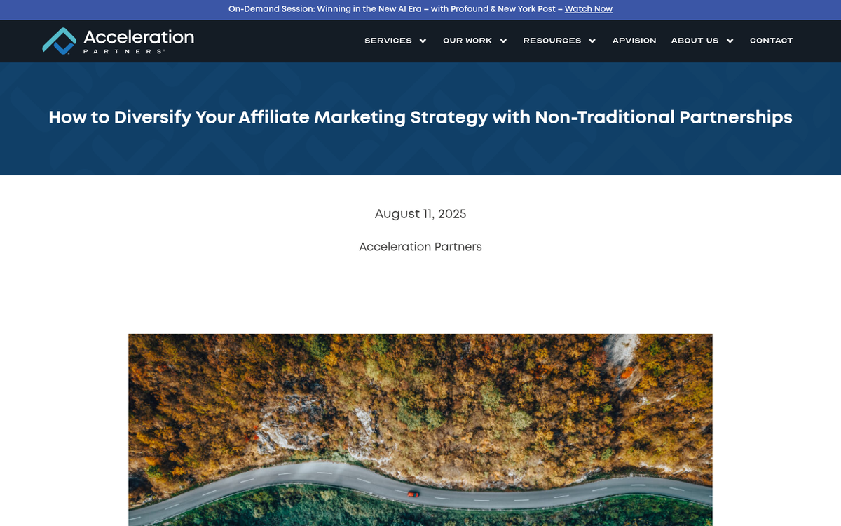 Person celebrating affiliate marketing program success