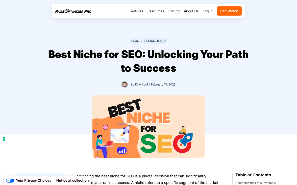 SEO and tech niche website analytics dashboard