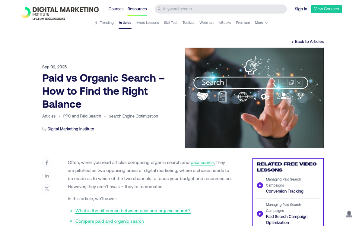 Website traffic growth chart showing SEO results