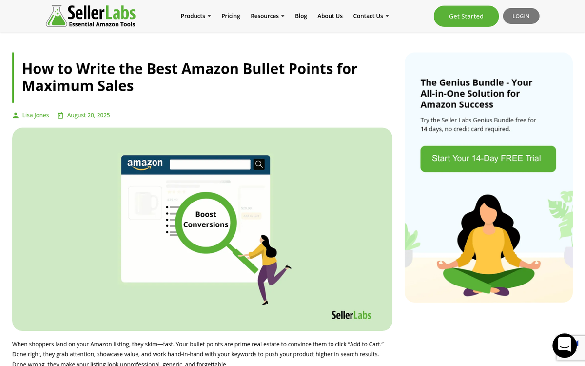 eBay listing with concise bullet point descriptions