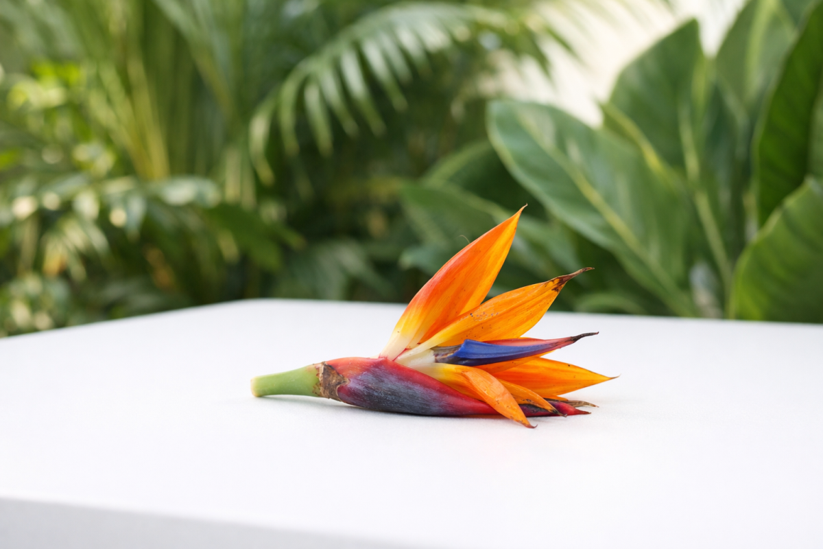 Person looking frustrated at computer screen