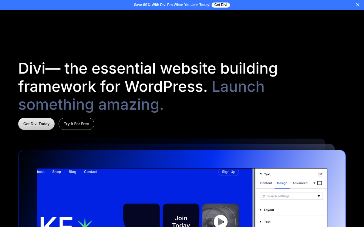 Divi WordPress theme website screenshot