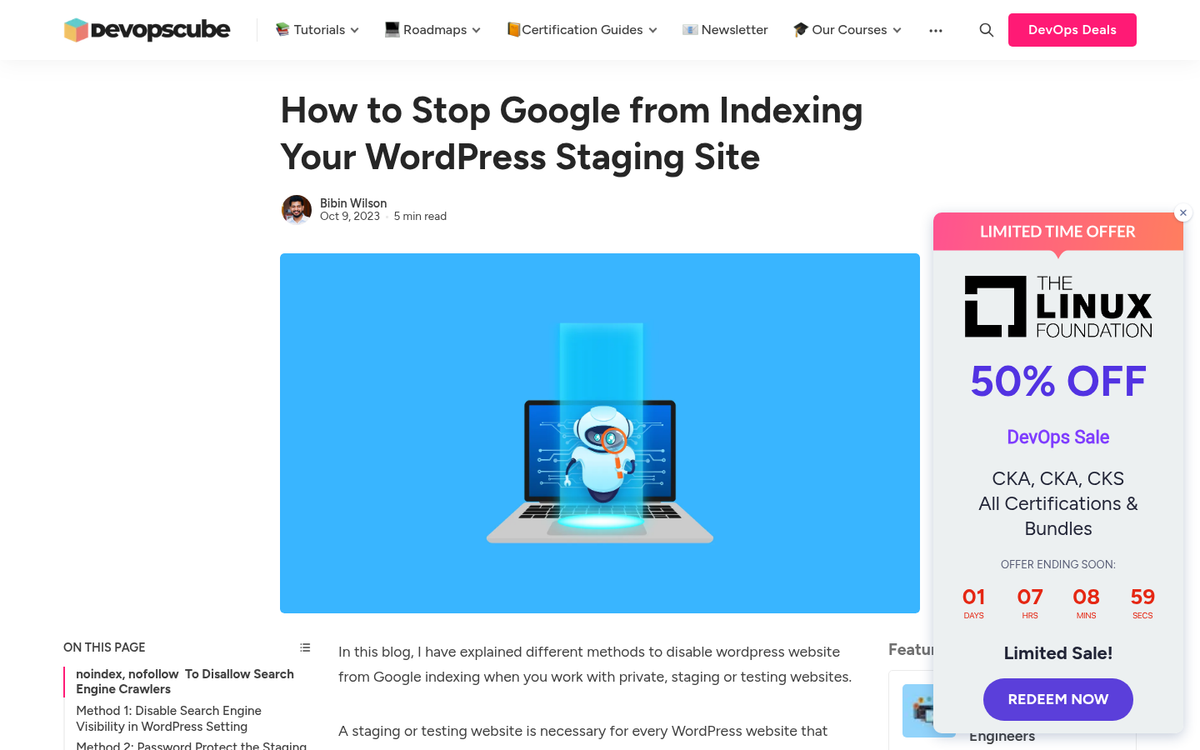 Website preview in staging environment noindexed