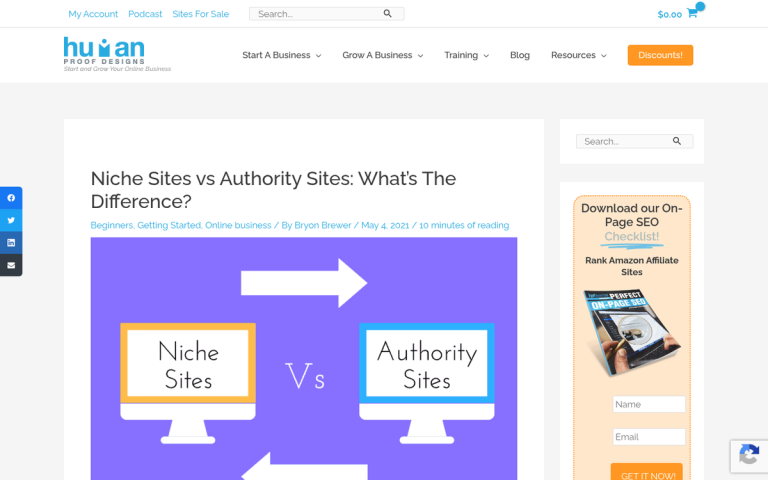 Niche site versus authority site comparison