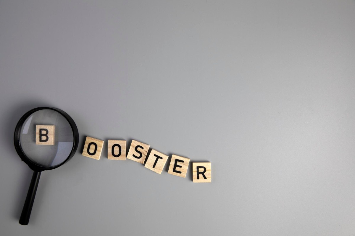 GoDaddy domain auction bidding interface screen