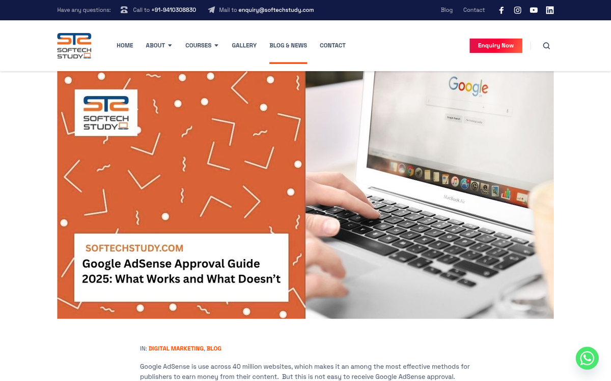 AdSense website screenshot showing program limitations