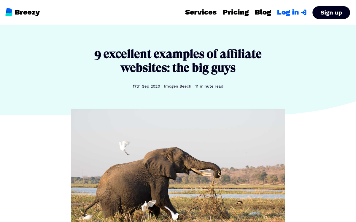 Exact match domain website traffic example