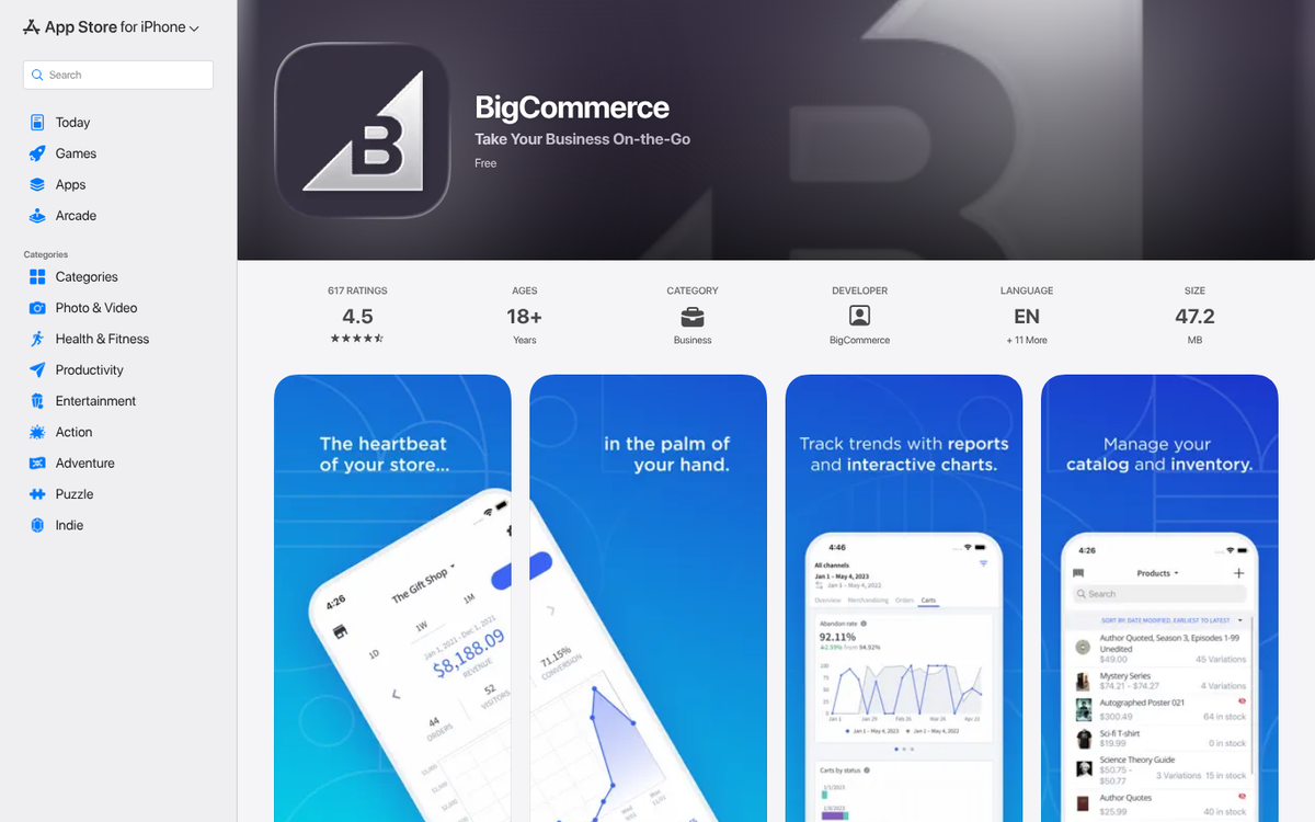 BigCommerce store dashboard screenshot overview