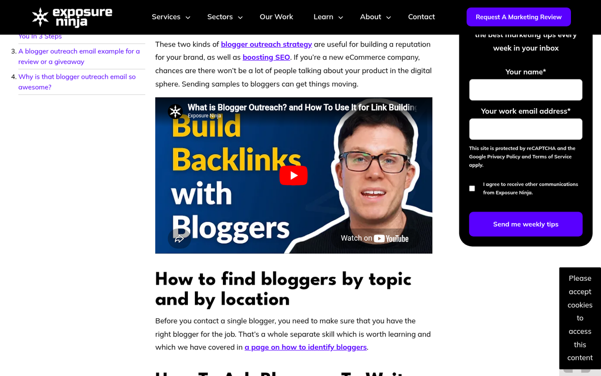 Blogger writing product review on laptop