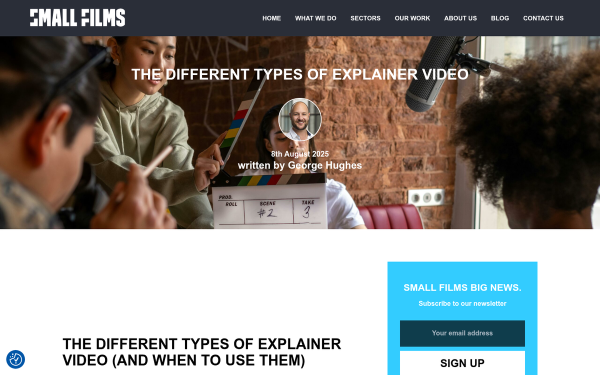 Animated explainer video styles comparison chart