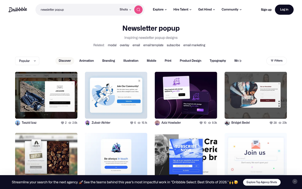 Newsletter signup form on a website