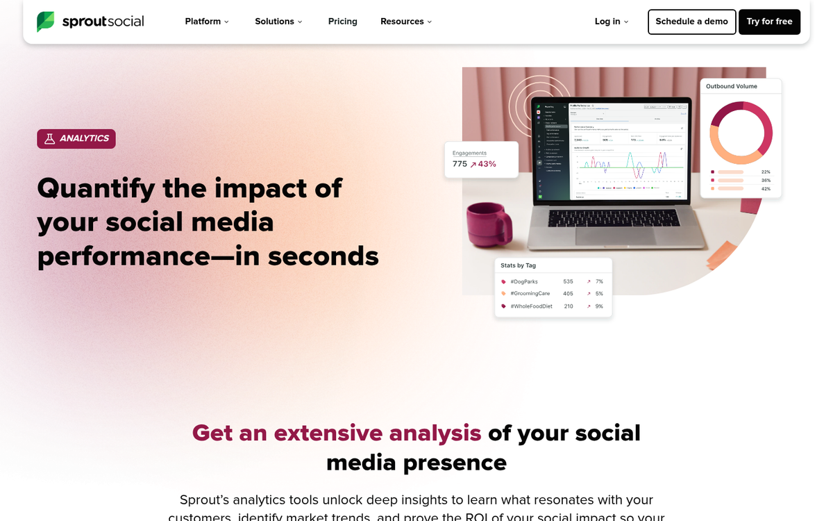 Website analytics dashboard showing audience traffic data