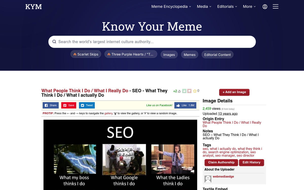 Frustrated person staring at SEO analytics screen
